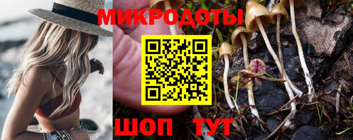Псилоцибиновые грибы Psilocybe  Псилоцибиновые грибы Cubensis  Вход с VPN  Шуя 